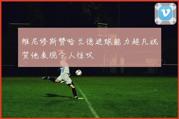 维尼修斯赞哈兰德进球能力超凡祝贺他表现令人惊叹
