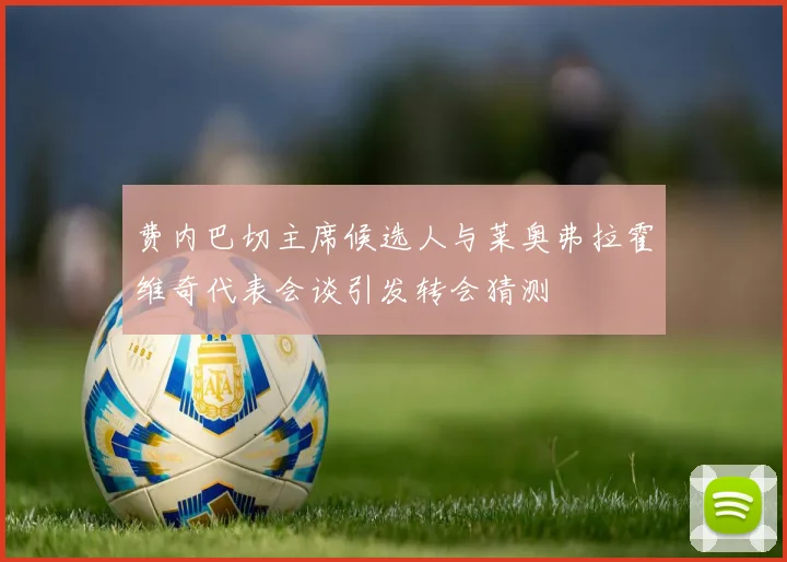 费内巴切主席候选人与莱奥弗拉霍维奇代表会谈引发转会猜测